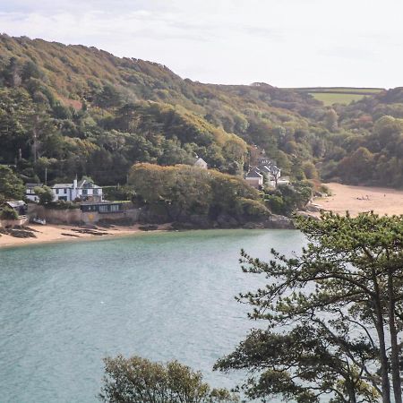 2 Poundstone Court Villa Salcombe Eksteriør billede